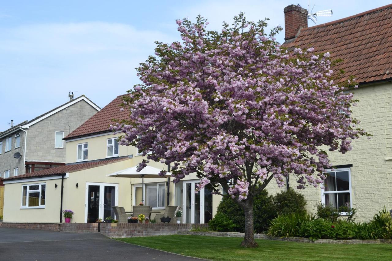 The Lawns Tea Room And B&B Ashcott Exterior foto