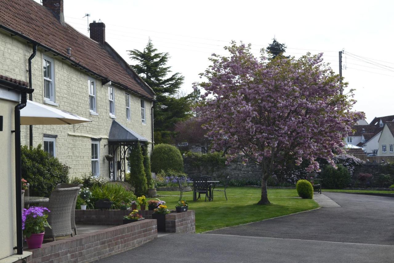 The Lawns Tea Room And B&B Ashcott Exterior foto