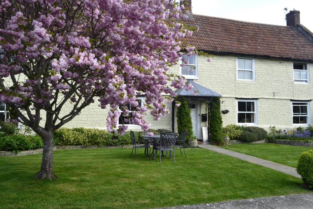 The Lawns Tea Room And B&B Ashcott Exterior foto
